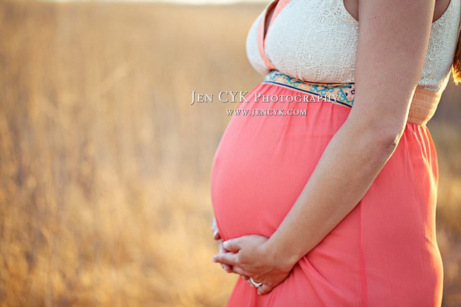 Beautiful Maternity Pictures (13)
