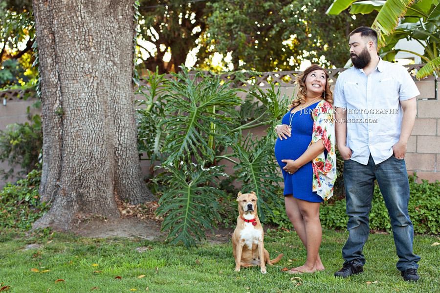 Maternity Photos With Your Dog (4)