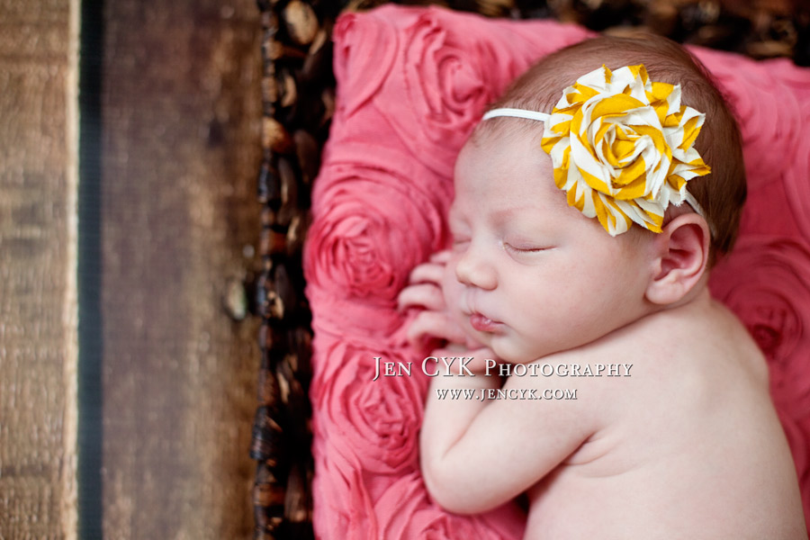 Amazing Newborn Photos Orange County Photographer (5)