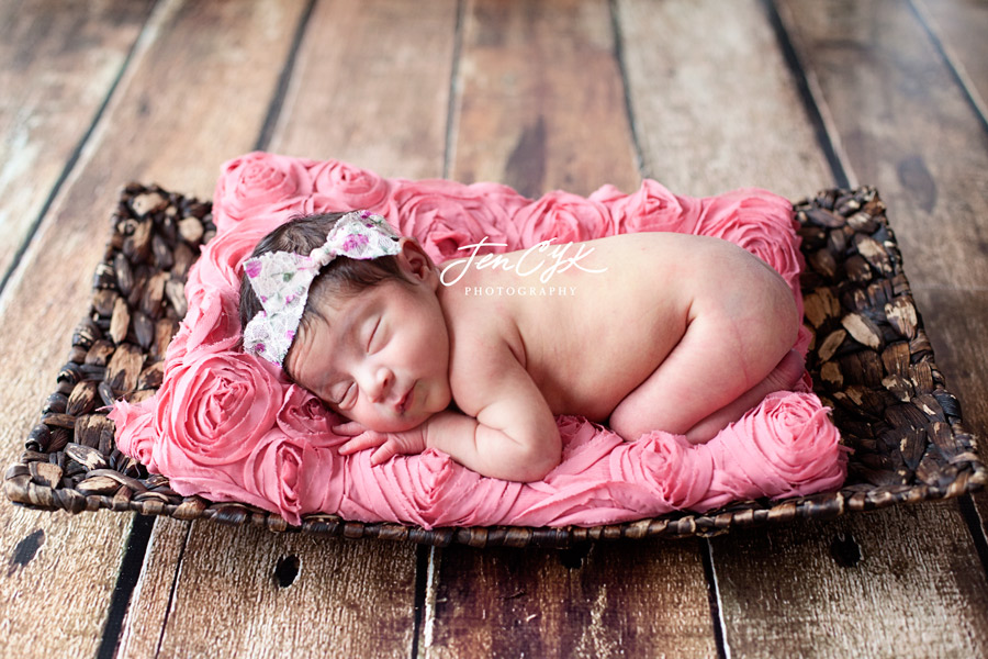 Gorgeous Newborn Baby Girl (4)